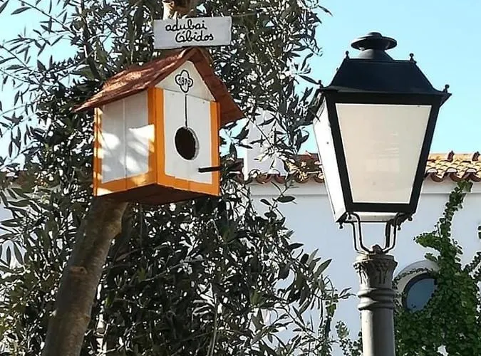 Adubai בית נופש